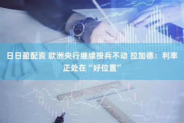 日日盈配资 欧洲央行继续按兵不动 拉加德：利率正处在“好位置”