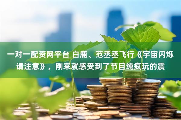 一对一配资网平台 白鹿、范丞丞飞行《宇宙闪烁请注意》，刚来就感受到了节目纯疯玩的震